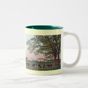 Amisches Gehöft Zweifarbige Tasse