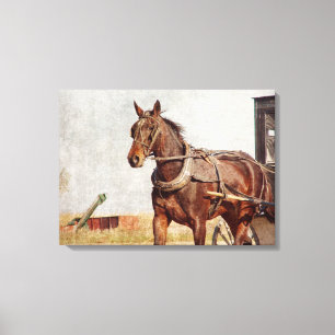 Amisches Pferd und Buggy Leinwanddruck