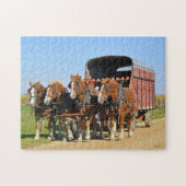 Amisches Team von vier Puzzle (Horizontal)