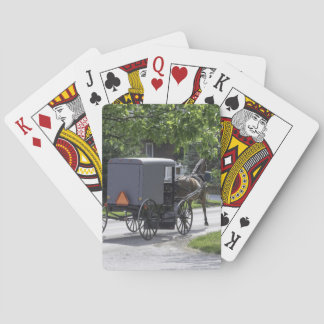 Amise Playing Cards Spielkarten