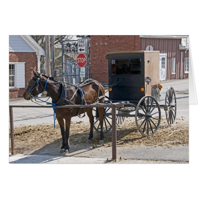 Amish (Vorderseite (Horizontal))