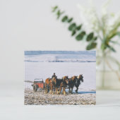 Amish-Bauer auf Spreader-Postcard-2 Postkarte (Stehend Vorderseite)