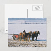 Amish-Bauer auf Spreader-Postcard-2 Postkarte (Vorne/Hinten)