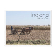 Amish Bauer Pflanzende Mais