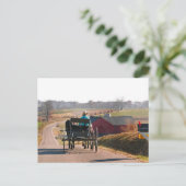 Amish Boy Drives Open Buggy Postkarte (Stehend Vorderseite)