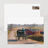Amish Boy Drives Open Buggy Postkarte (Vorne/Hinten)