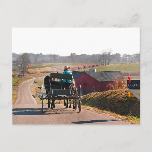 Amish Boy Drives Open Buggy Postkarte (Vorderseite)