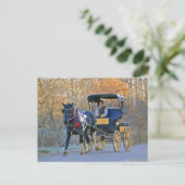 Amish Boy Drives Wedding Postkarte (Stehend Vorderseite)