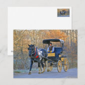 Amish Boy Drives Wedding Postkarte (Vorne/Hinten)