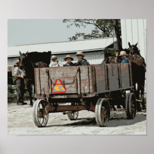 Amish Boy Waves Poster