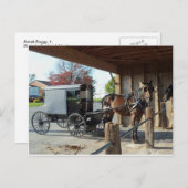 Amish Buggy, 1 Postkarte (Vorne/Hinten)