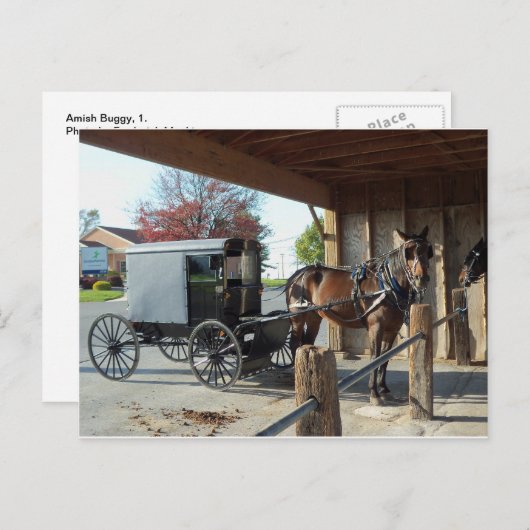 Amish Buggy, 1 Postkarte (Vorne/Hinten)