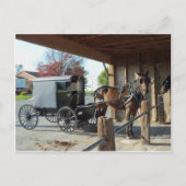 Amish Buggy, 1 Postkarte (Vorderseite)