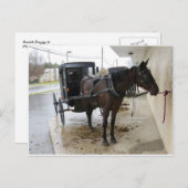 Amish Buggy 2 Postkarte (Vorne/Hinten)