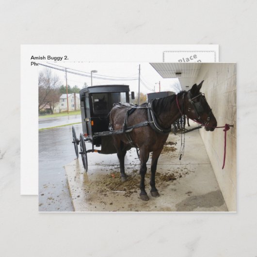 Amish Buggy 2 Postkarte (Vorne/Hinten)