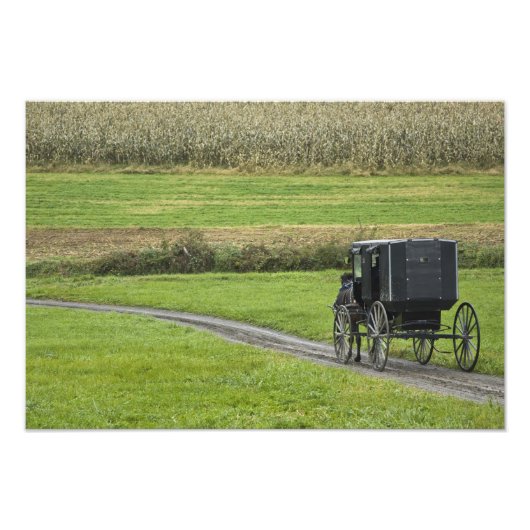 Amish-Buggy auf dem Landweg, Nordost-Ohio, Fotodruck (Vorne)