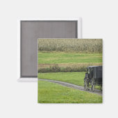 Amish-Buggy auf dem Landweg, Nordost-Ohio, Magnet (Vorderseite/Rückseite)