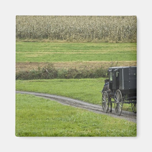 Amish-Buggy auf dem Landweg, Nordost-Ohio, Magnet (Vorne)