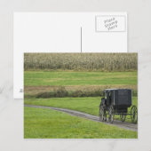Amish-Buggy auf dem Landweg, Nordost-Ohio, Postkarte (Vorne/Hinten)