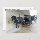 Amish Buggy auf dem Pennsylvania Markt Postkarte (Vorne/Hinten)