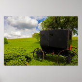 Amish-Buggy auf der Hillside Farm Poster (Vorne)