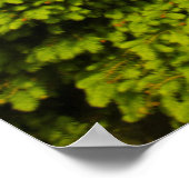 Amish-Buggy auf der Hillside Farm Poster (Ecke)