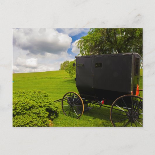 Amish-Buggy auf der Hillside Farm Postkarte (Vorderseite)