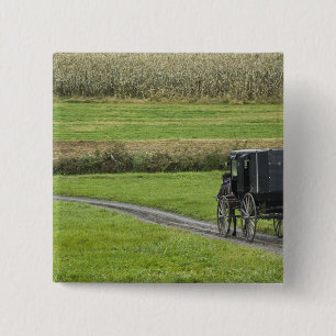 Amish-Buggy auf einer Farmstraße, Nordost-Ohio, Button