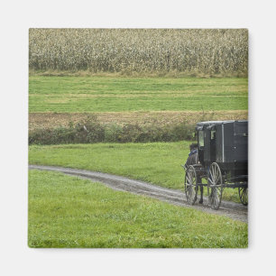 Amish-Buggy auf einer Farmstraße, Nordost-Ohio, Magnet