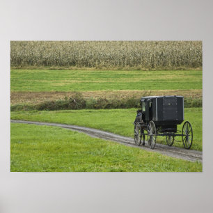 Amish-Buggy auf einer Farmstraße, Nordost-Ohio, Poster