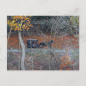 Amish Buggy auf einer Landstraße im Herbst, Ohio Postkarte (Vorderseite)