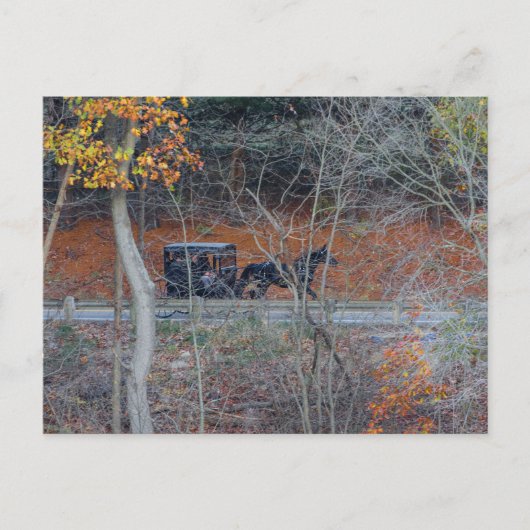 Amish Buggy auf einer Landstraße im Herbst, Ohio Postkarte (Vorderseite)