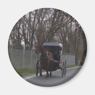 Amish Buggy Magnet