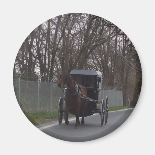 Amish Buggy Magnet (Vorne)