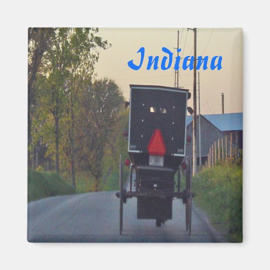 Amish Buggy Magnet (Vorne)