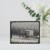 Amish Buggy Monochrome Postkarte (Stehend Vorderseite)