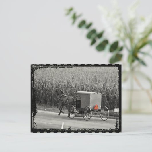Amish Buggy Monochrome Postkarte (Stehend Vorderseite)