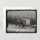 Amish Buggy Monochrome Postkarte (Vorne/Hinten)