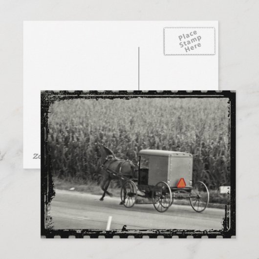 Amish Buggy Monochrome Postkarte (Vorne/Hinten)