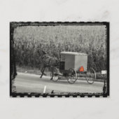 Amish Buggy Monochrome Postkarte (Vorderseite)