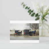 Amish Buggy "Parkplatz Lot" Postkarte (Stehend Vorderseite)