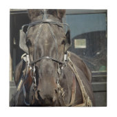 Amish Buggy Pferd Fliese (Vorderseite)