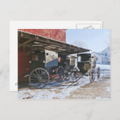 Amish Buggy Port Postkarte (Vorne/Hinten)