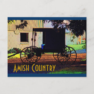 Amish Buggy Postcard Postkarte