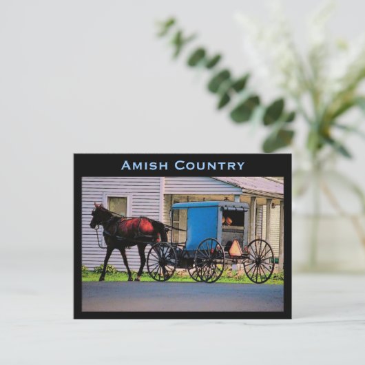 Amish Buggy Postcard Postkarte (Stehend Vorderseite)