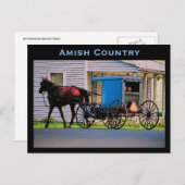 Amish Buggy Postcard Postkarte (Vorne/Hinten)