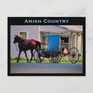 Amish Buggy Postcard Postkarte