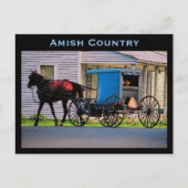 Amish Buggy Postcard Postkarte (Vorderseite)