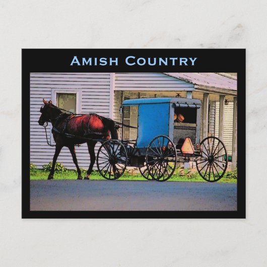 Amish Buggy Postcard Postkarte (Vorderseite)