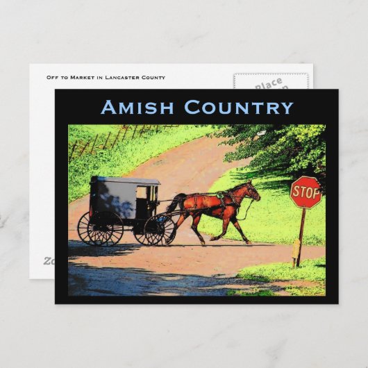 Amish Buggy Postcard Postkarte (Vorne/Hinten)